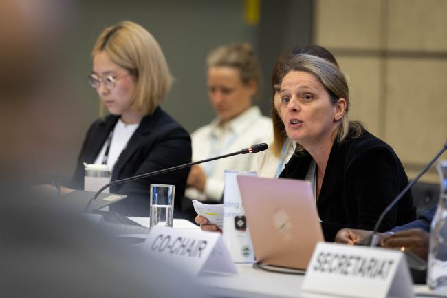 Workshop Co-Chair Angela Friedrich, Austria