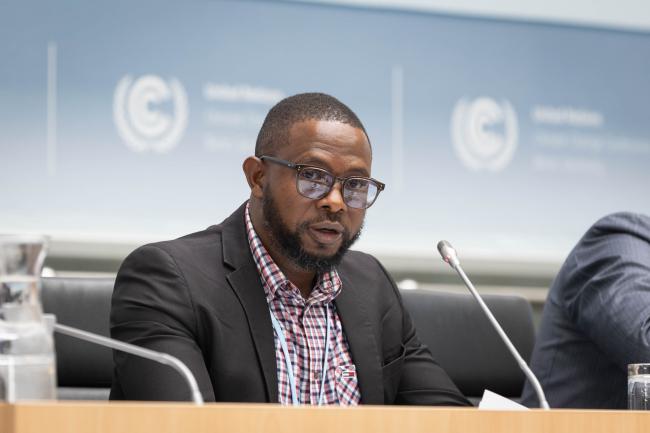 Mokoena France, Least Developed Countries Expert Group (LEG) 