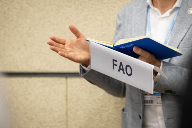 FAO facilitator