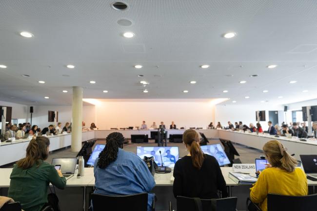 Informal consultations on agriculture and food security