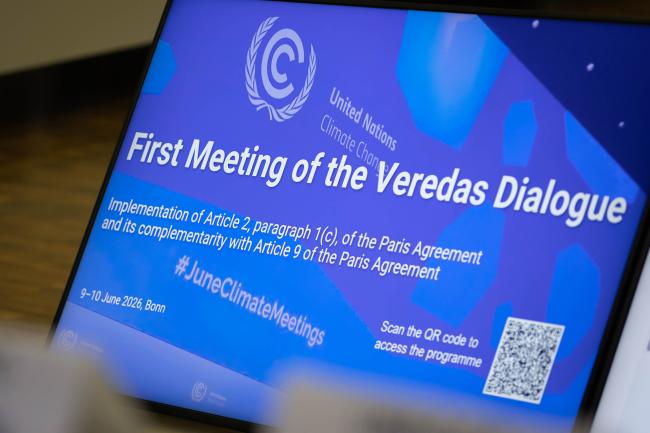 Delegates attend the first meeting of the Veredas Dialogue to discuss financial flow alignment