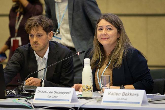 Debra-Lee Swanepoel, Meeting Co-Chair