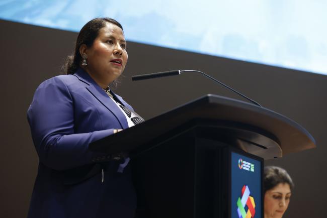 Geeta Chaudhary, Minister for Agriculture, Forests and Environment, Nepal_NataliaMroz_SDGsynergies7_30June26_photo.JPG
