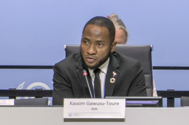Kassim Gawusu-Toure, African Group of Negotiators