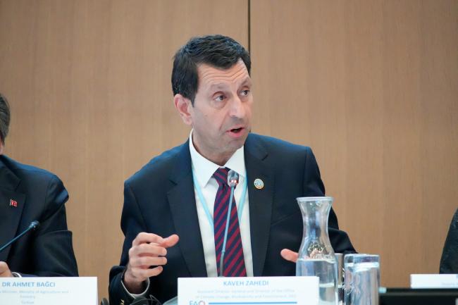 Kaveh Zahedi