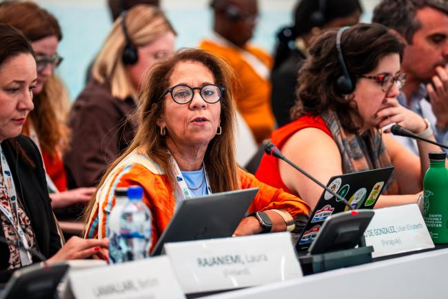 8th GEF Assembly