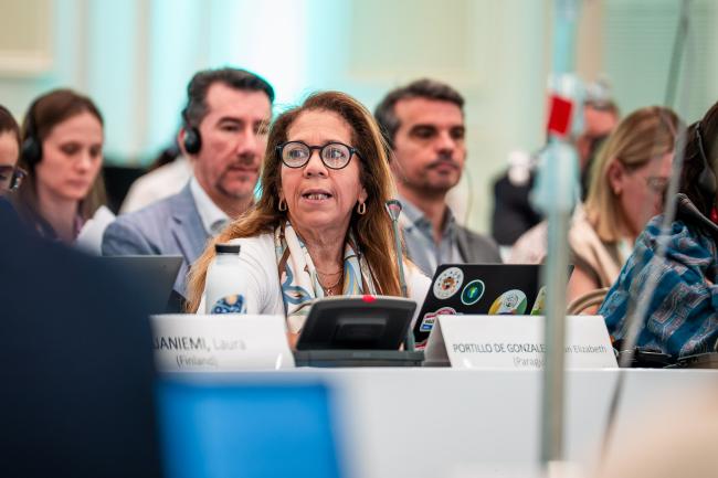 8th GEF Assembly