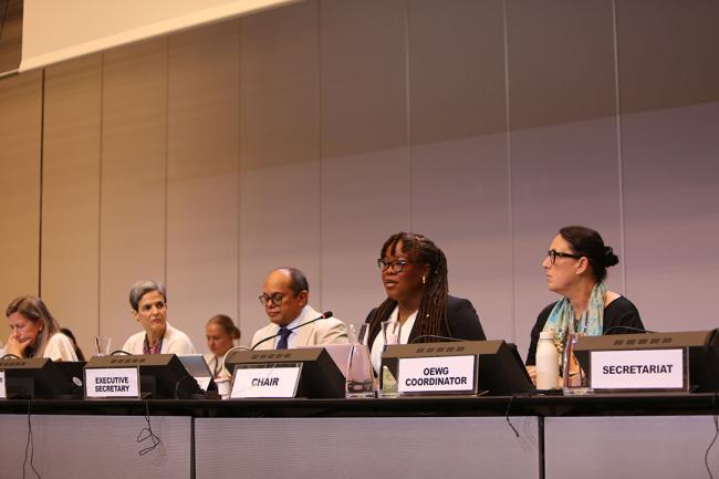 OEWG15 Chair Nneka Nicholas, Antigua and Barbuda - OEWG15 - 22 June 2026
