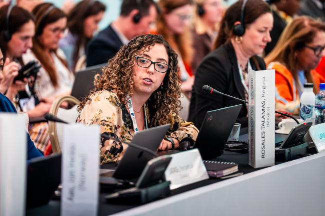 8th GEF Assembly
