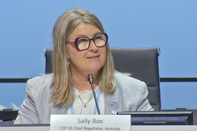 Sally Box, COP 31 Chief Negotiator, Australia