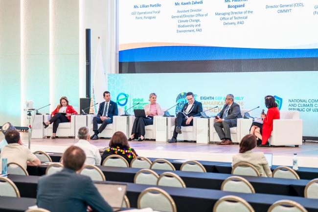 8th GEF Assembly