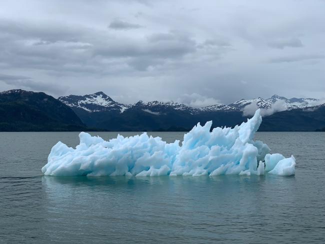 Iceberg in in Prince William Sound, Alaska
