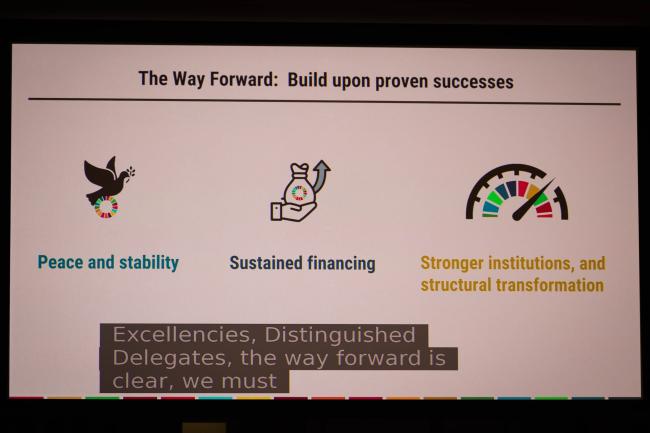 A slide highlights the way forward in terms of achieving the SDGs