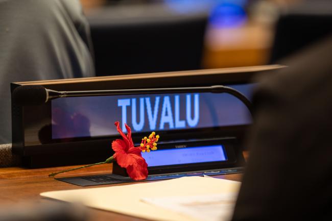 Tuvalu flower