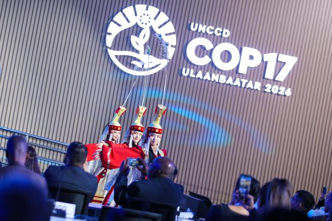 Cultural Performance
