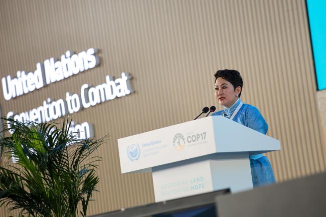 Batmunkh Battsetseg, COP17 President 