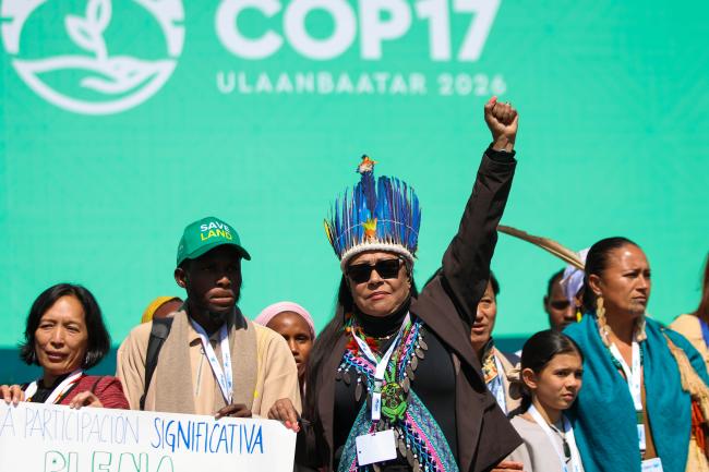 Indigenous Peoples' Action 