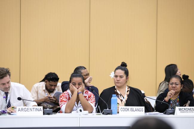 Delegates spend most of the day in contact groups.