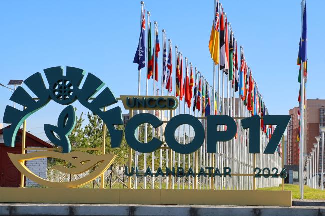COP 17 sign and flags 