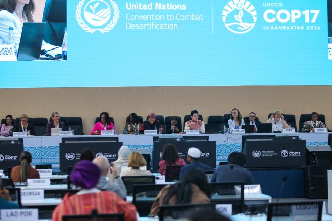 A view of the panel during the Gender Caucus session