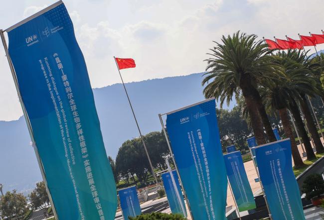 KMGBF and China flags