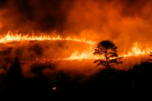 Fire burning in a field