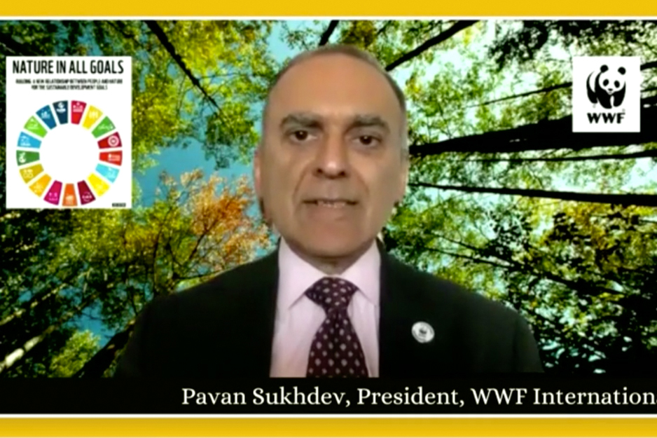 Pavan Sukhdev, President, WWF International