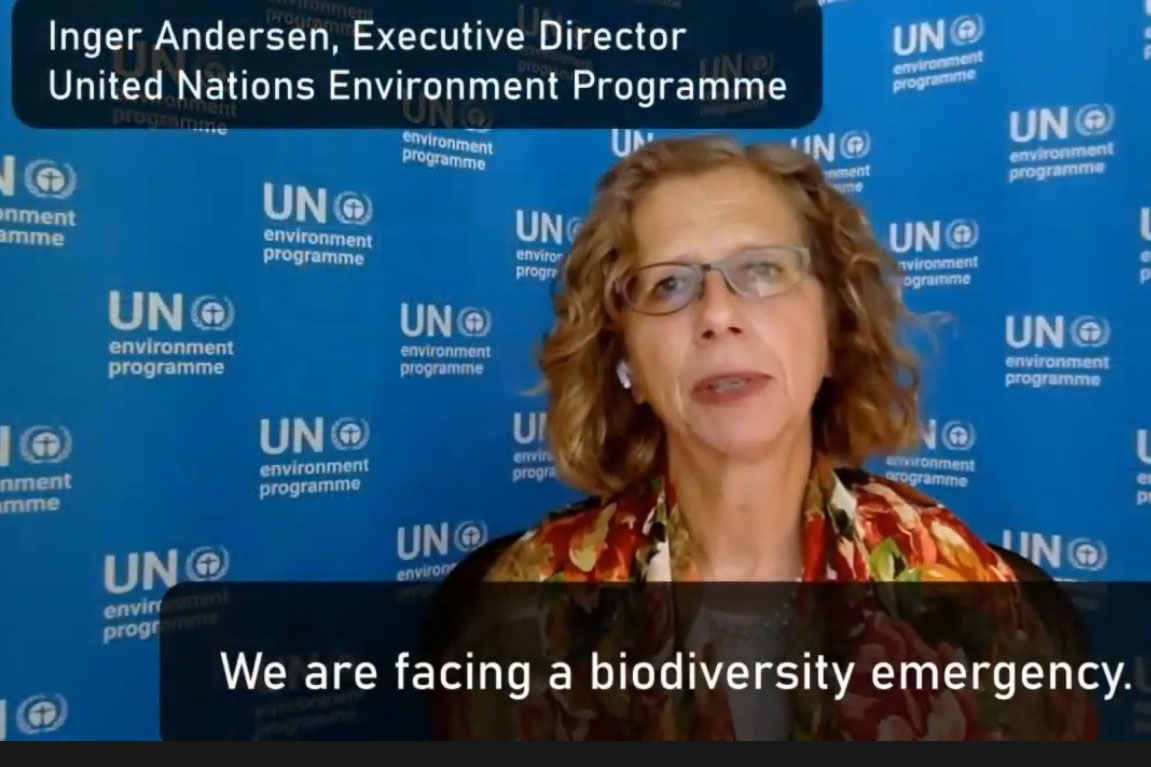 Inger Andersen, Executive Director UN Environment Programme (UNEP)