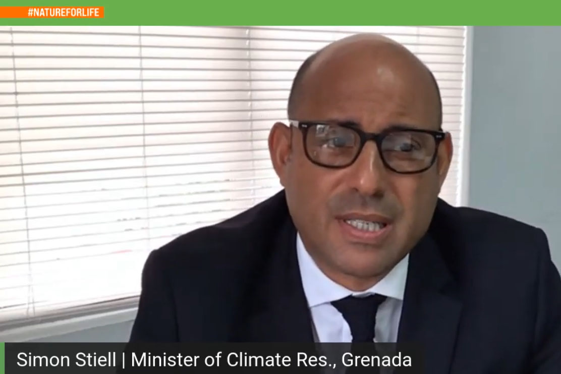 Simon Stiell, Minister for Climate Resilience, Environment, Forestry, Fisheries, and Disaster Management, Grenada