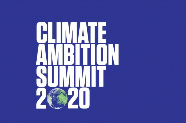The Climate Ambition Summit took place online and celebrated five years since the adoption of the Paris Agreement.