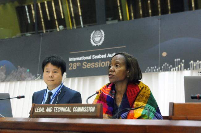 Yongsheng Cai, ISA Secretariat, and Michelle Walker, Jamaica, Legal and Technical Commission (LTC)
