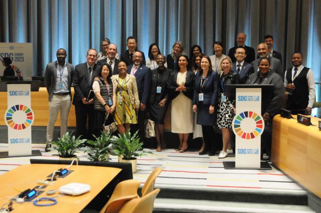 Members of the Secretariat of the United Nations Department of Economic and Social Affairs (DESA)