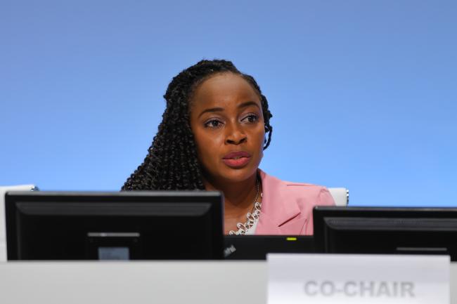 Committee of the Whole Co-Chair Keima Gardiner, Trinidad and Tobago