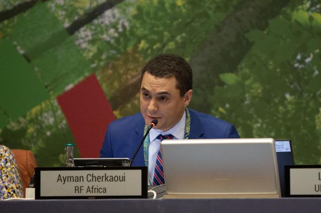 Ayman Cherkaoui, Africa Regional Co-Facilitator - GMGSF20 - 25Feb 2024