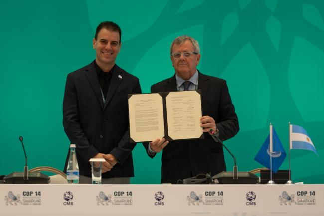 The CMS Secretariat and Argentina sign an MOU to protect High Andean Flamingos and their habitats