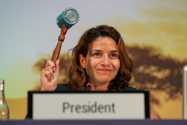 UNEA-6 President Leila Benali, Morocco, gaveling the adoption of a resolution